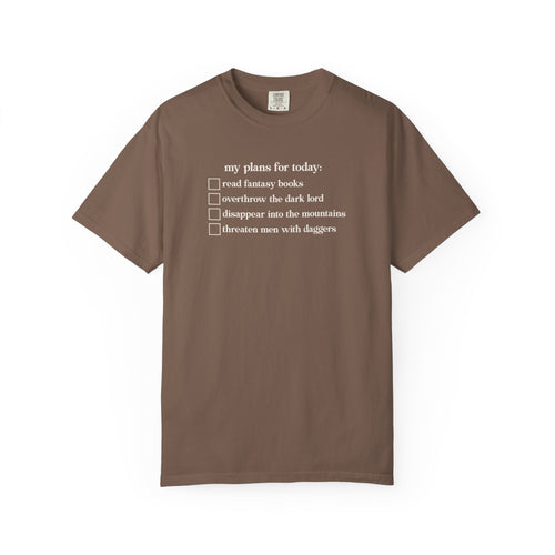 My Plans For Today Fantasy Checklist Shirt | Romantasy Reader Comfort Colors Tee